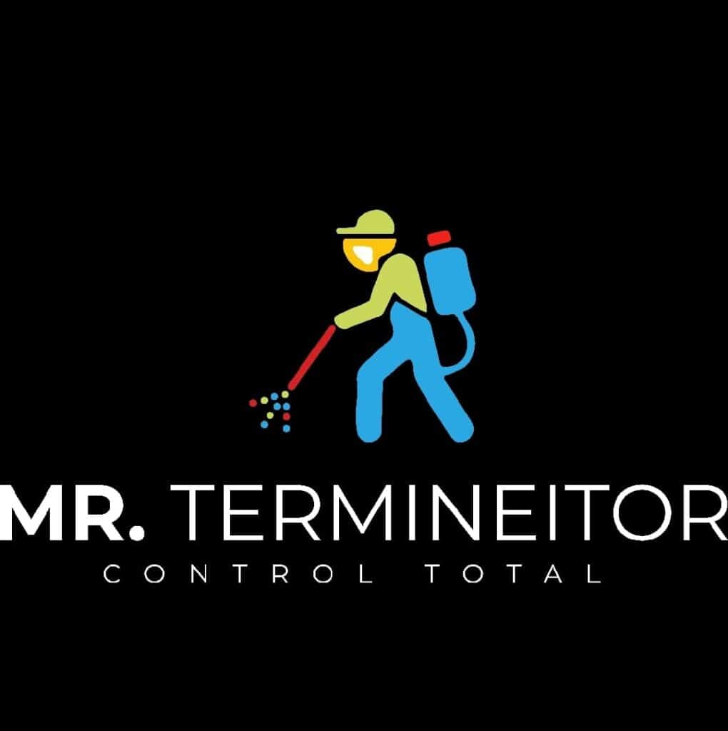 185289723_156019753189375_8989581069547452652_n