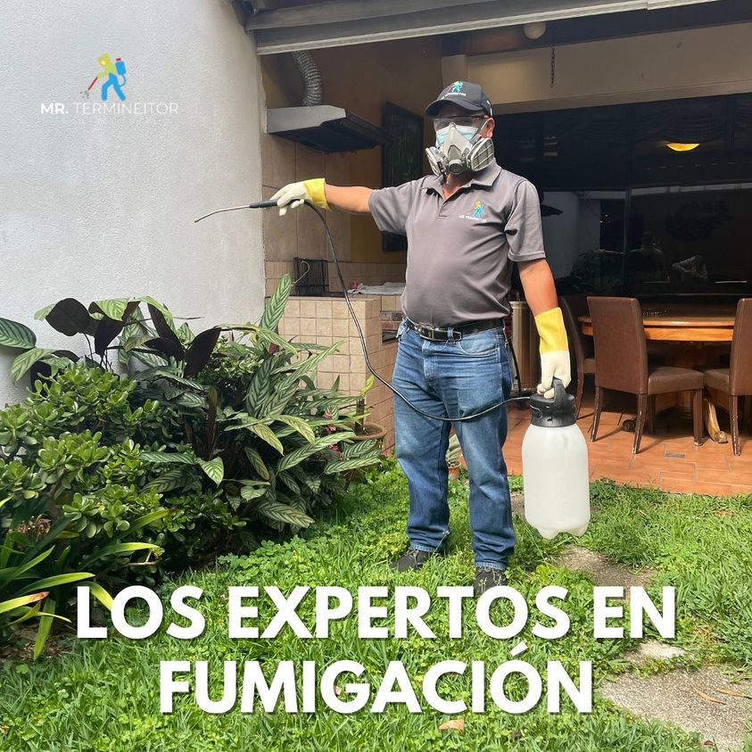 311015367_499240265533987_4811767616209901537_n