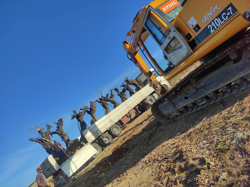 162875527_292956665505717_1957800325196410891_n