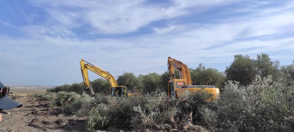 241651462_399220068212709_1539632602619124440_n