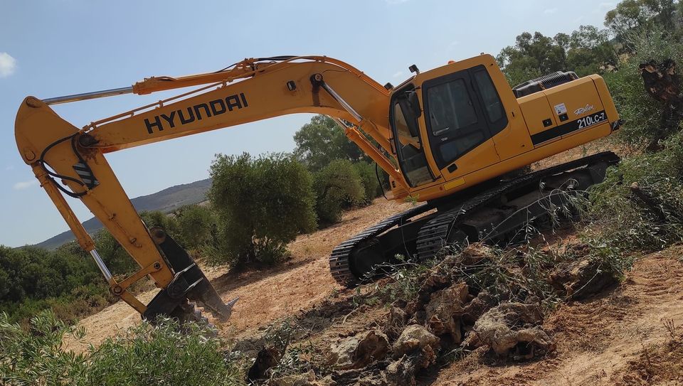 294344361_524499002807124_2374244182180793812_n