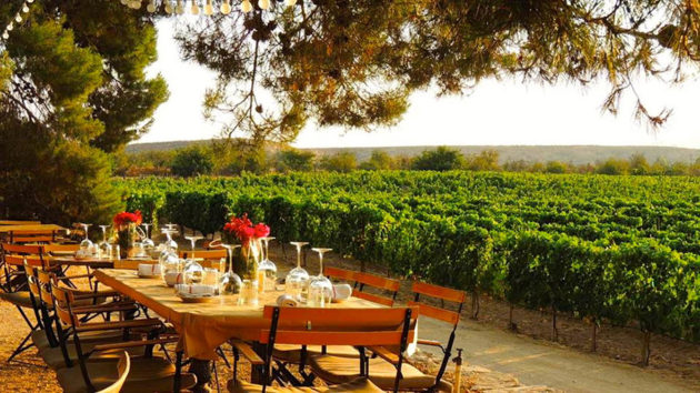 ruta del vino del valle de guadalupe 630x354 1