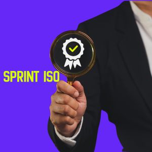 ISO Asesorias ISO RCR