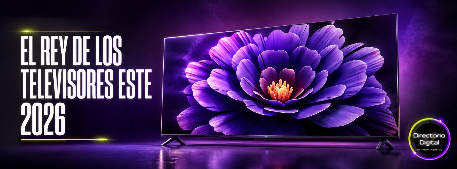TV SLIDE